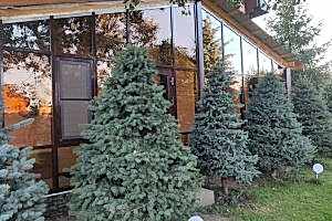 Теплые алюминиевые окна